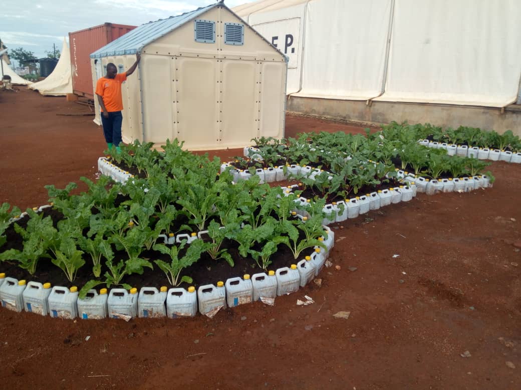 Kitchen Gardening Models